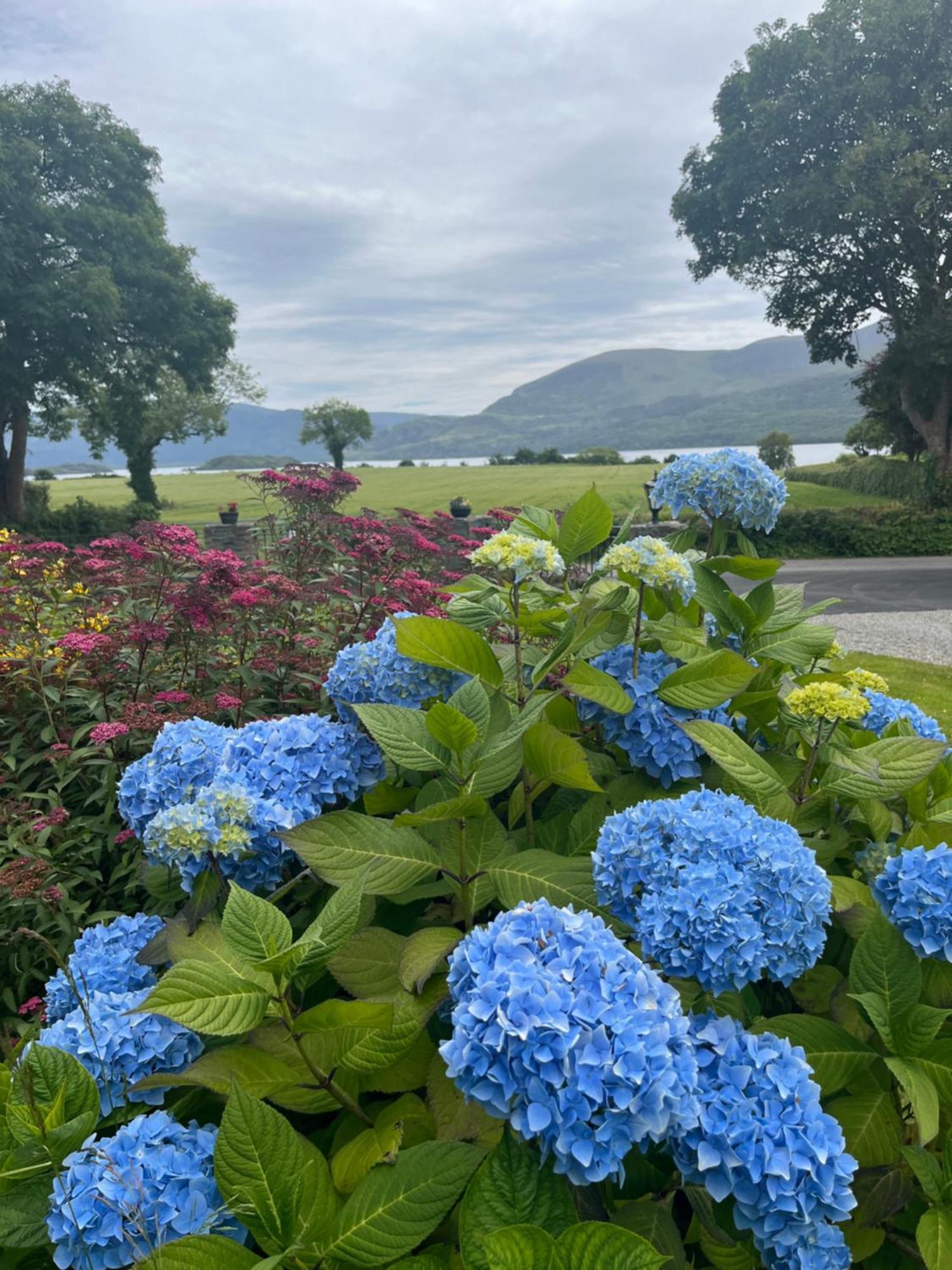 Loch Lein Country House Killarney Ngoại thất bức ảnh